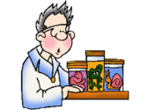Free Biology and Botony Clip Art by Phillip Martin