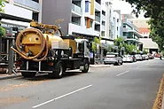 Arborist Brisbane - Tree removals, Care, Tree loopers