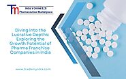 Diving into the Lucrative Depths: Exploring the Growth Potential of Pharma Franchise Companies in India