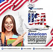 Studying in the USA With The Help of Study Abroad Consultants