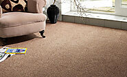 #1 Carpet Cleaning In Fort Myers FL With 200+ Local 5-Star Reviews!