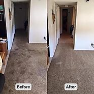Unrivaled Carpet Cleaning in Cape Coral FL
