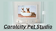 Carolcity Pet Studio - Find Best Deals | Save 5% to 20% with DealWala.com.au