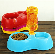 Automatic Pet Feeders Bowl - Limited-Time Deal