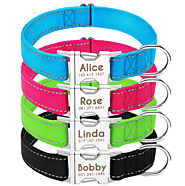 Pet Elegance: Discover Stylish Pet Collars at 10DollarsDeal