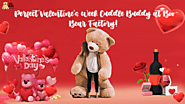 Find Your Perfect Valentine's Week Cuddle Buddy at Boo Bear Factory! - BBFactory