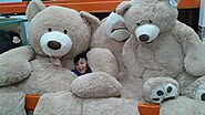 The Impact of Giant Teddy Bears on Children's Development