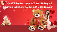 Embracing Love: Giant Teddy Bears from BOO Bear Factory - A Perfect Valentine's Day Gift with a 10% Discount