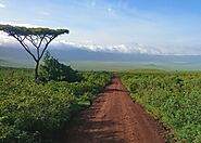 Ngorongoro Crater