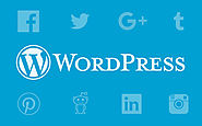 Best Social media plugins for WordPress