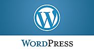 Advantages of Developing Bespoke WordPress Themes