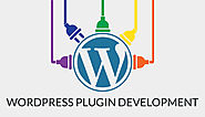 Must-know things for Every WordPress Plugin Developer