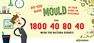 Mould Removal, Cleaning & Inspection Sydney
