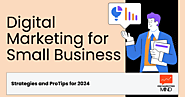 How to do Digital Marketing for Small Business [2024 Tips]