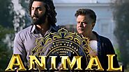 Animal Movie Review: A Hero With Villainous Soul  - Viral Infos