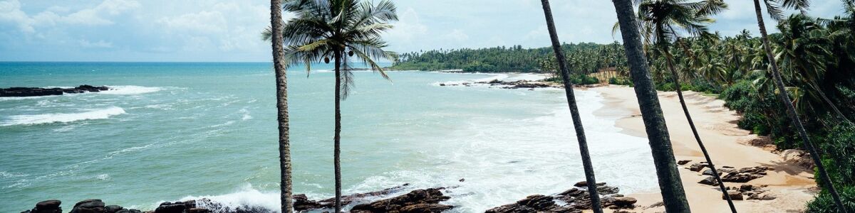 Headline for Absolutely Best Things To Do In Tangalle In Sri Lanka - Adventure awaits you in Tangalle