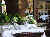 Harrisons Restaurant | Port Douglas