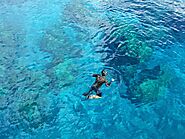 Snorkelling