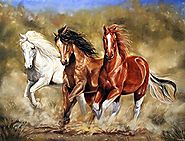 American Heritage Royal Plush Raschel Throw Horses "Dust Busting" 50 in X 60 In