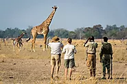 What Shots Do I Need to Go to Tanzania: Essential Vaccinations for Travelers - Funplacetotravel.com