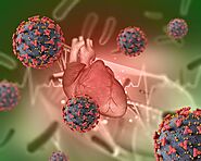 Nipah Virus: Diagnosis, Treatment, and Prevention - Viral Infos