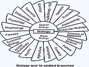 Different Branches of Science, Biochemistry, Biotechnology, Floriculture, Entomology