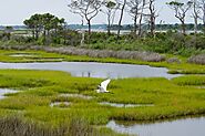 Assess Existing Wetland Hydrology