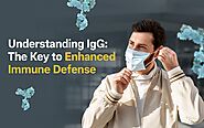 Understanding IgG: The Key to Enhanced Immune Defense