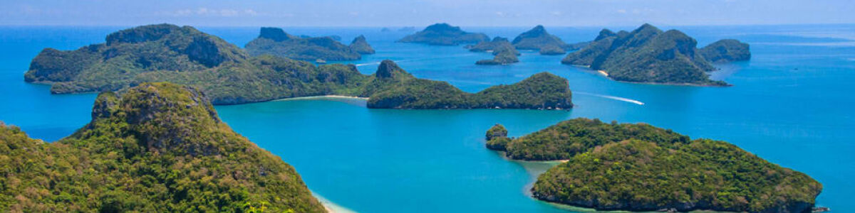 Headline for 7 Best Dive Sites in Koh Samui - Lasting memories and fun dives