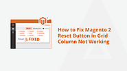 Learn How To Fix Magento 2 Reset Button Issue in Grid Columns