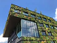 Why Sustainable Home Design Matters?