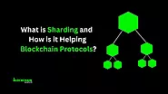 What is Sharding and How is it Helping Blockchain Protocols?  