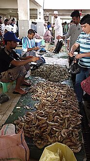 Visit The Muttrah Fish Market