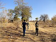 Mosi-oa-Tunya National Park Trek