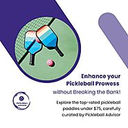 Elevate your game affordably | Pickleball Advisor