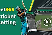 10 Tips for Successful Online Cricket Betting in India