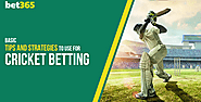 How to Bet on Cricket – Expert Cricket Betting Guide & Tips