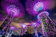 Gardens by the Bay