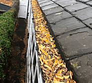 Prevent Water Damage with Gutter Cleaning in Melbourne