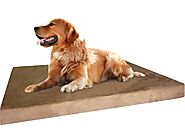 Cheap Waterproof Dog Beds for Large Dogs 2015 on Flipboard