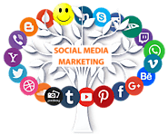 YouTube Marketing Agency in India | Social Media Marketing Services in Delhi