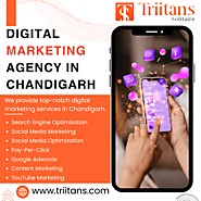 Grow Your Business Online with Digital Marketing Agency Chandigarh