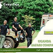 Safari Dreams Begin: Camp Saja Safaris Presents Unforgettable Uganda Travel Experiences