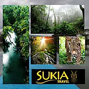 Sukia Travel’s Ultimate Guide to Costa Rica's Wildlife Tours