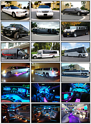 A1 Limo - Limo Service, Party Bus & Charter Bus Rental