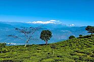 Tinchuley-Offbeat Darjeeling-tinchuley homestay-Darjeeling, India