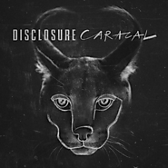 Best Dance/Electronic Album: Disclosure - "Carcal"