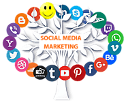 Social Media Marketing Canada | Best SEO Company in Canada | The Codify Labs