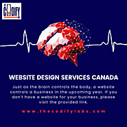Website Design Services Canada | Canadian Digital Marketing Agency