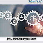 Social Responsibility of Business